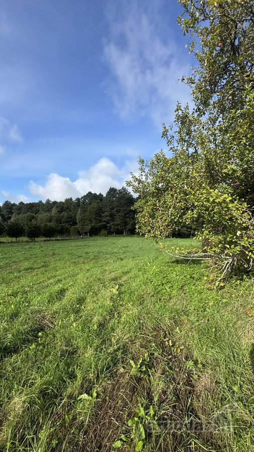 Parduodamas 26,29a sklypas Kenos km.,rukainių - nuotraukos Nr. 4
