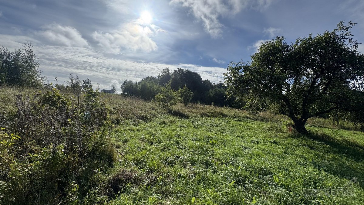 Parduodamas 26,29a sklypas Kenos km.,rukainių - nuotraukos Nr. 5