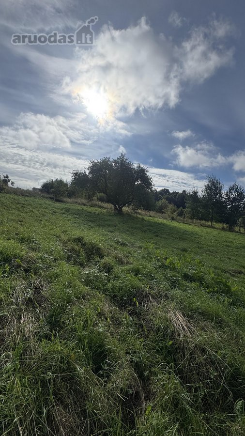 Parduodamas 26,29a sklypas Kenos km.,rukainių - nuotraukos Nr. 6