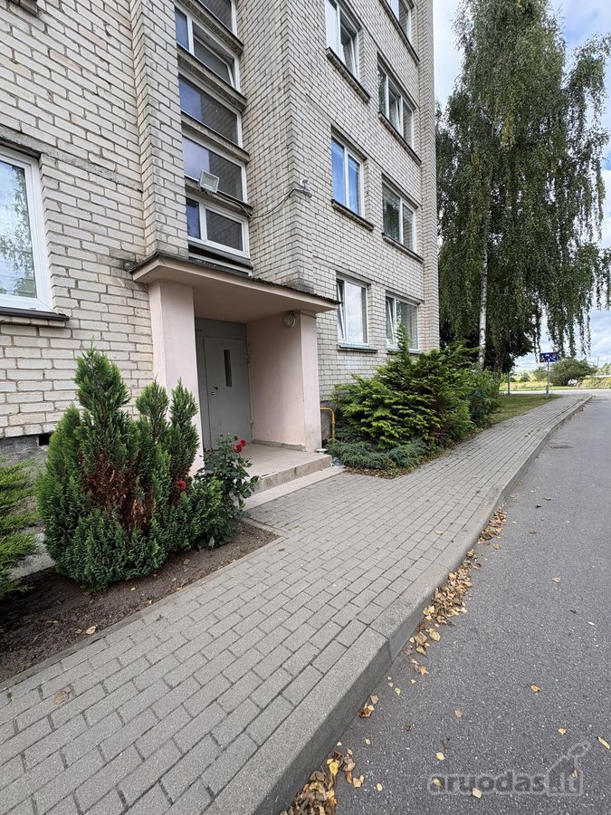 Jaukus, šiltas ir erdvus butas Dukstynos - nuotraukos Nr. 16