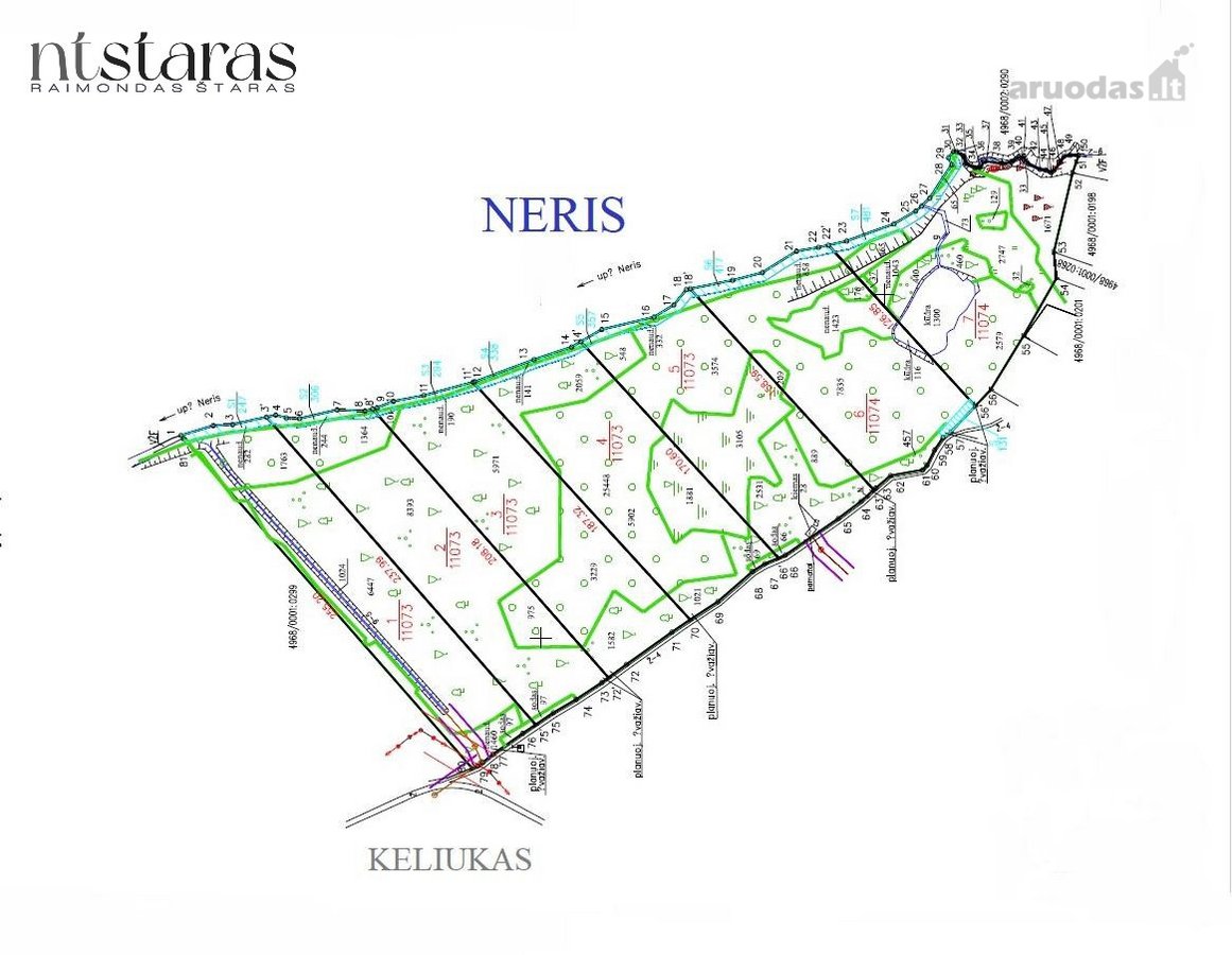 _ - nuotraukos Nr. 10