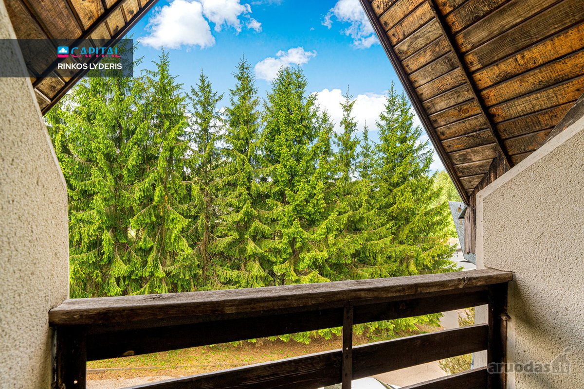 Antakalnio Pušyne, Vienoje Ramiausių Vilniaus - nuotraukos Nr. 18