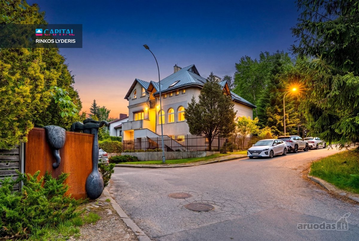 Antakalnio Pušyne, Vienoje Ramiausių Vilniaus - nuotraukos Nr. 8