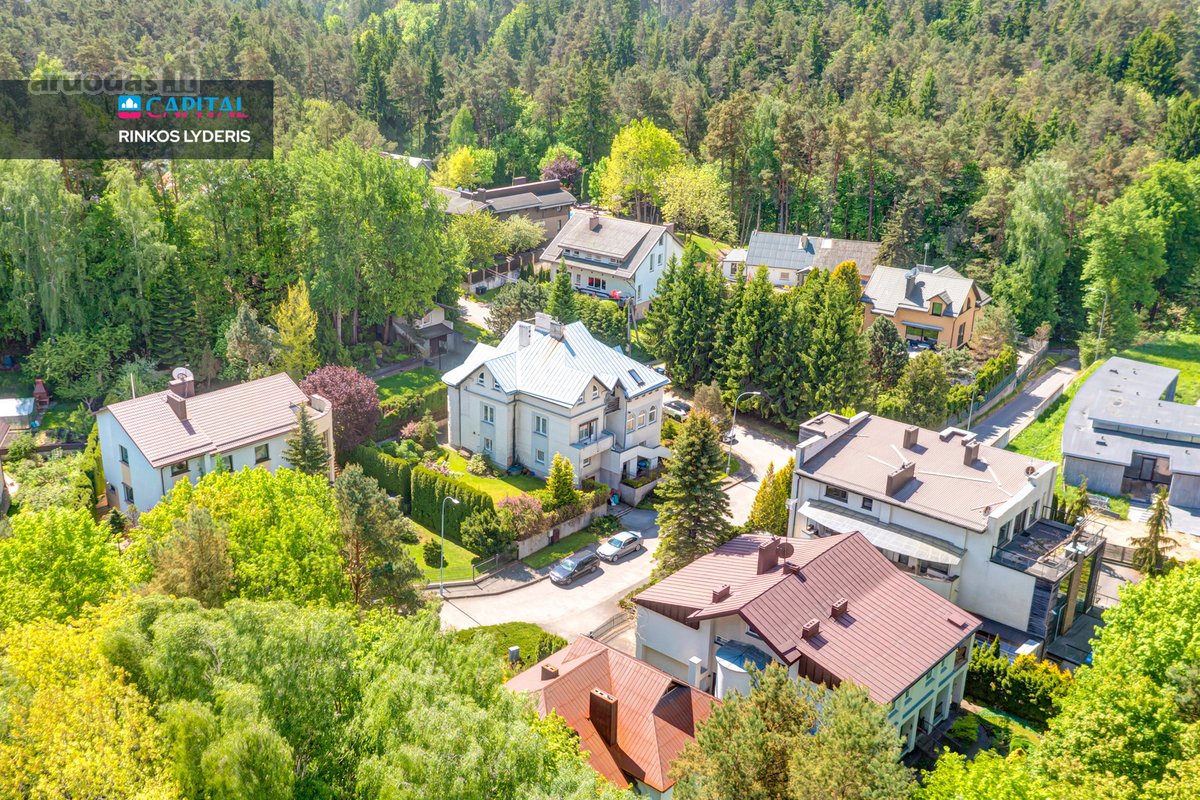 Antakalnio Pušyne, Vienoje Ramiausių Vilniaus - nuotraukos Nr. 13