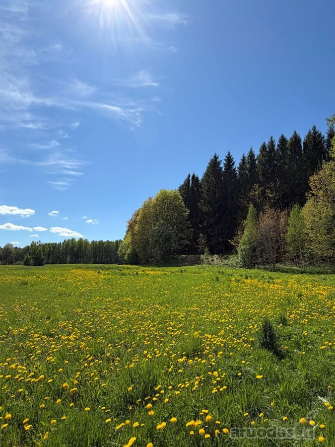 Sodyba su gyvybės šaltiniu: namai, kuriuose - nuotraukos Nr. 30