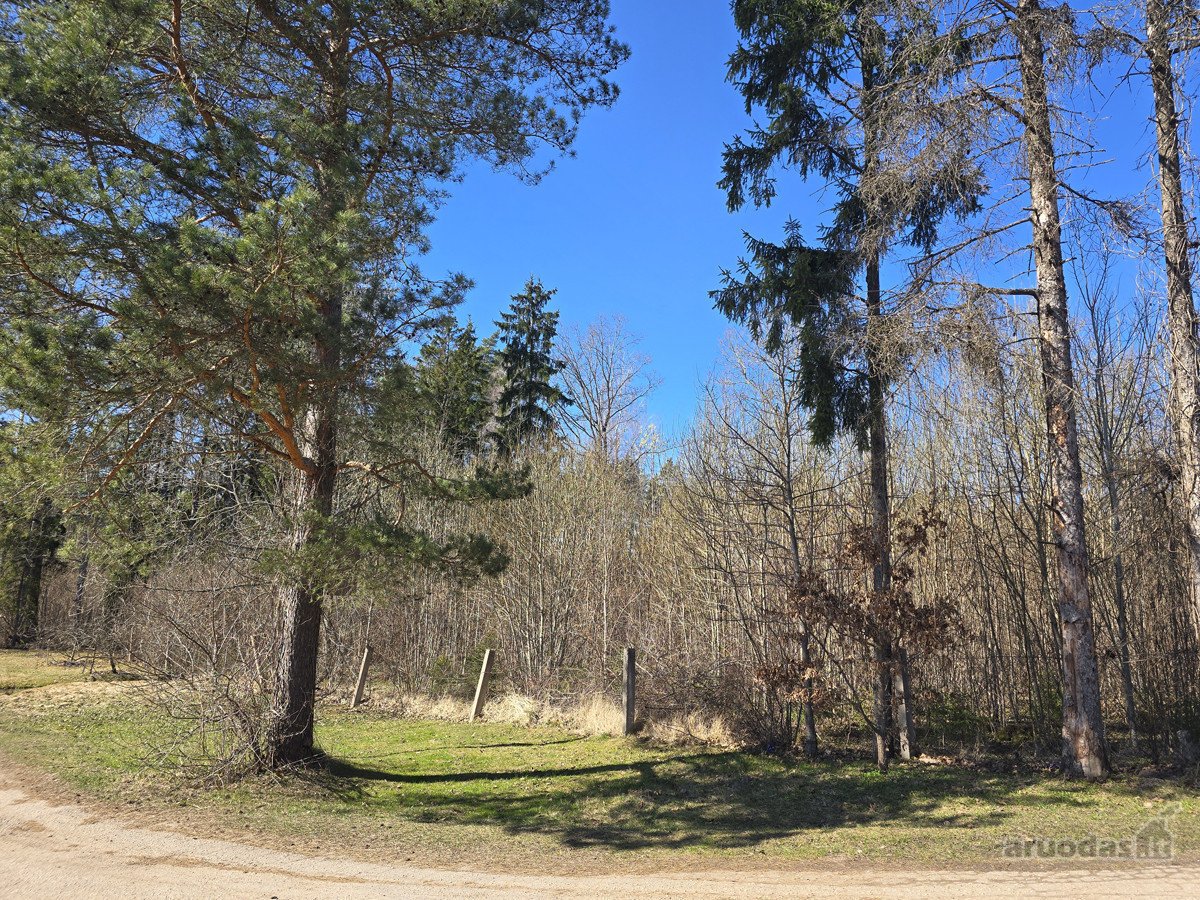 Pušynų apsuptyje, visai šalia Utenos miesto, - nuotraukos Nr. 8