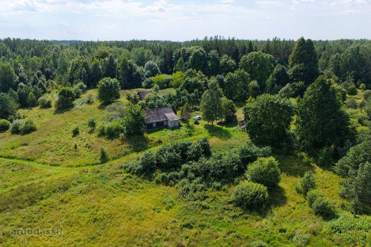 Vos 4 km nuo Zarasų, atokiame vienkiemyje - nuotraukos Nr. 3