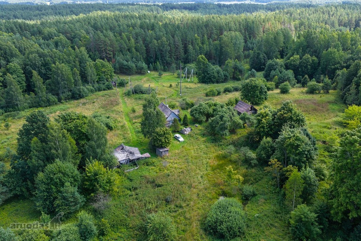 Vos 4 km nuo Zarasų, atokiame vienkiemyje - nuotraukos Nr. 4