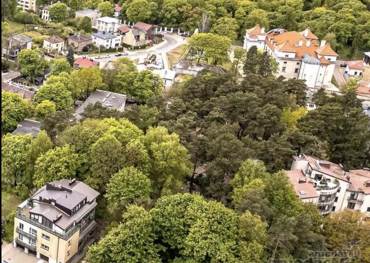 Antakalnyje, ypatingai ramioje ir tylioje - nuotraukos Nr. 15