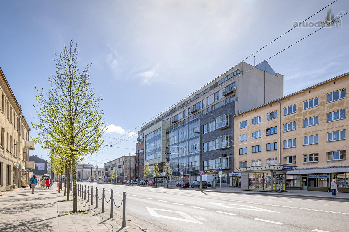 Nuomojamas Klasikinio Stiliaus Butas – Kauno - nuotraukos Nr. 12