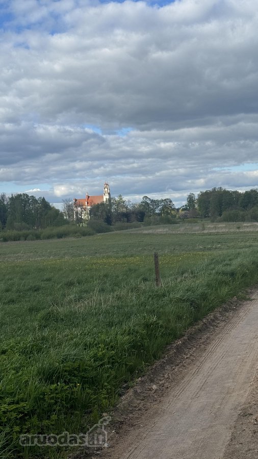 Parduodami Du Lygūs Sklypai Šalia Kurtuvėnų – - nuotraukos Nr. 7