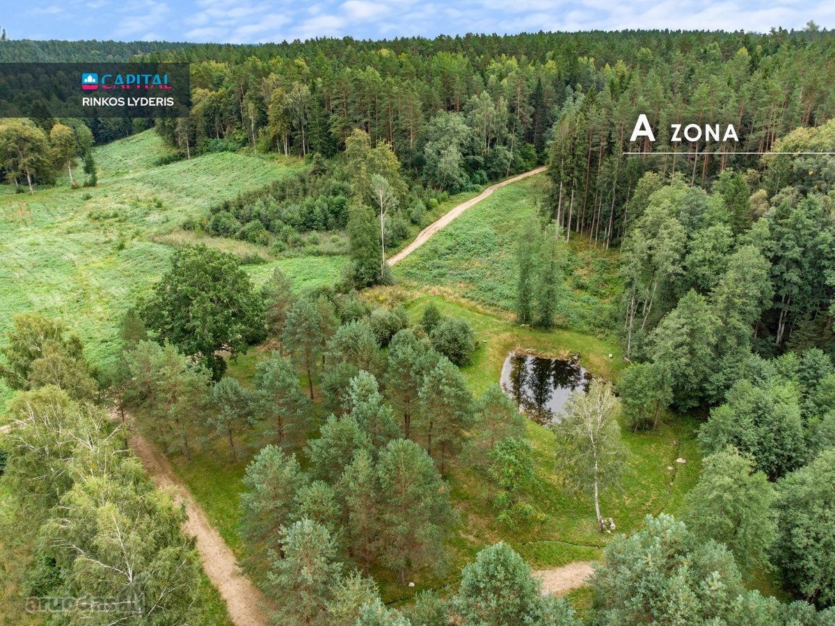 Nemenčinės miškų pušynų pašonėje, vos 3 - nuotraukos Nr. 4