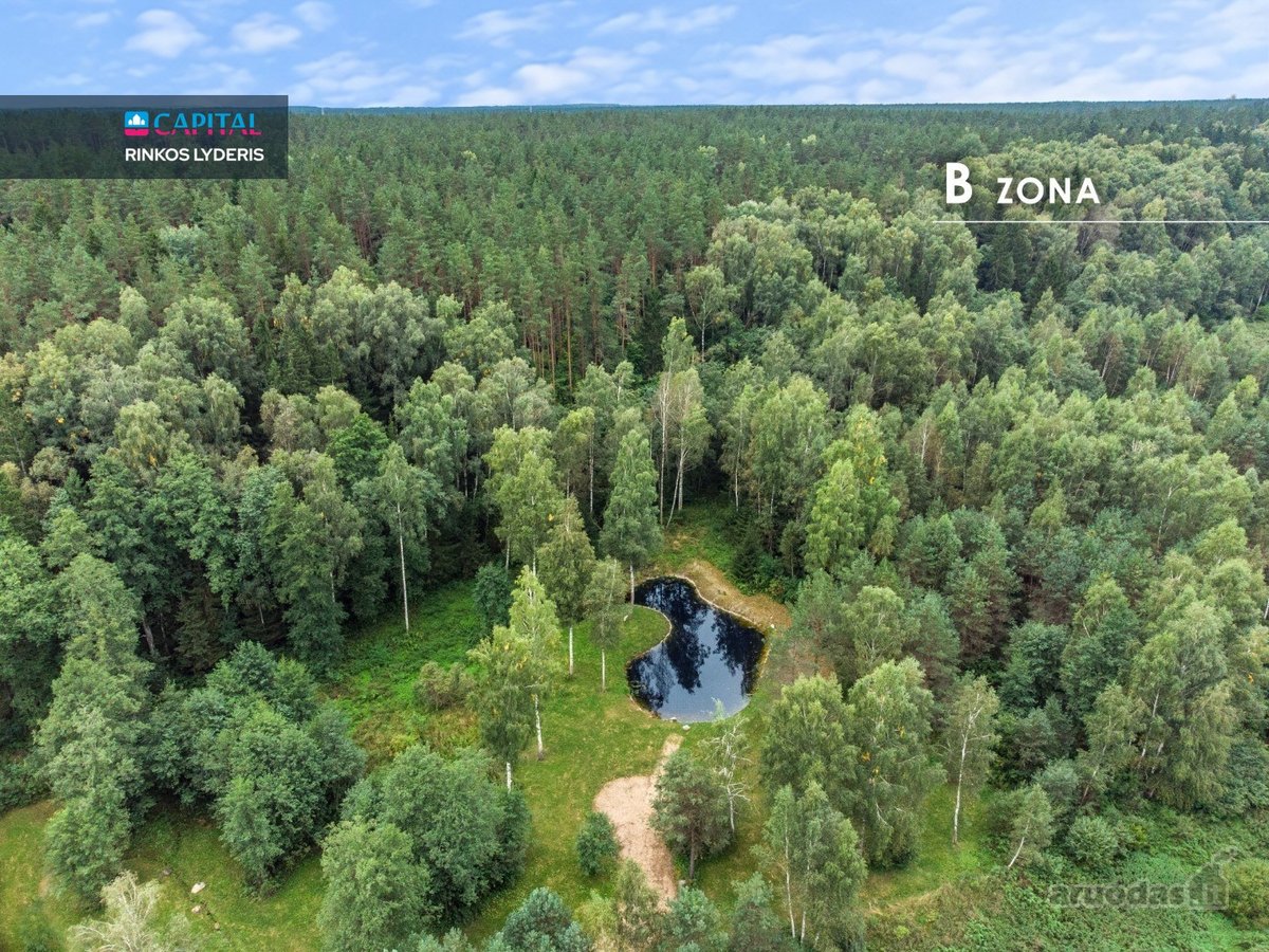 Nemenčinės miškų pušynų pašonėje, vos 3 - nuotraukos Nr. 5