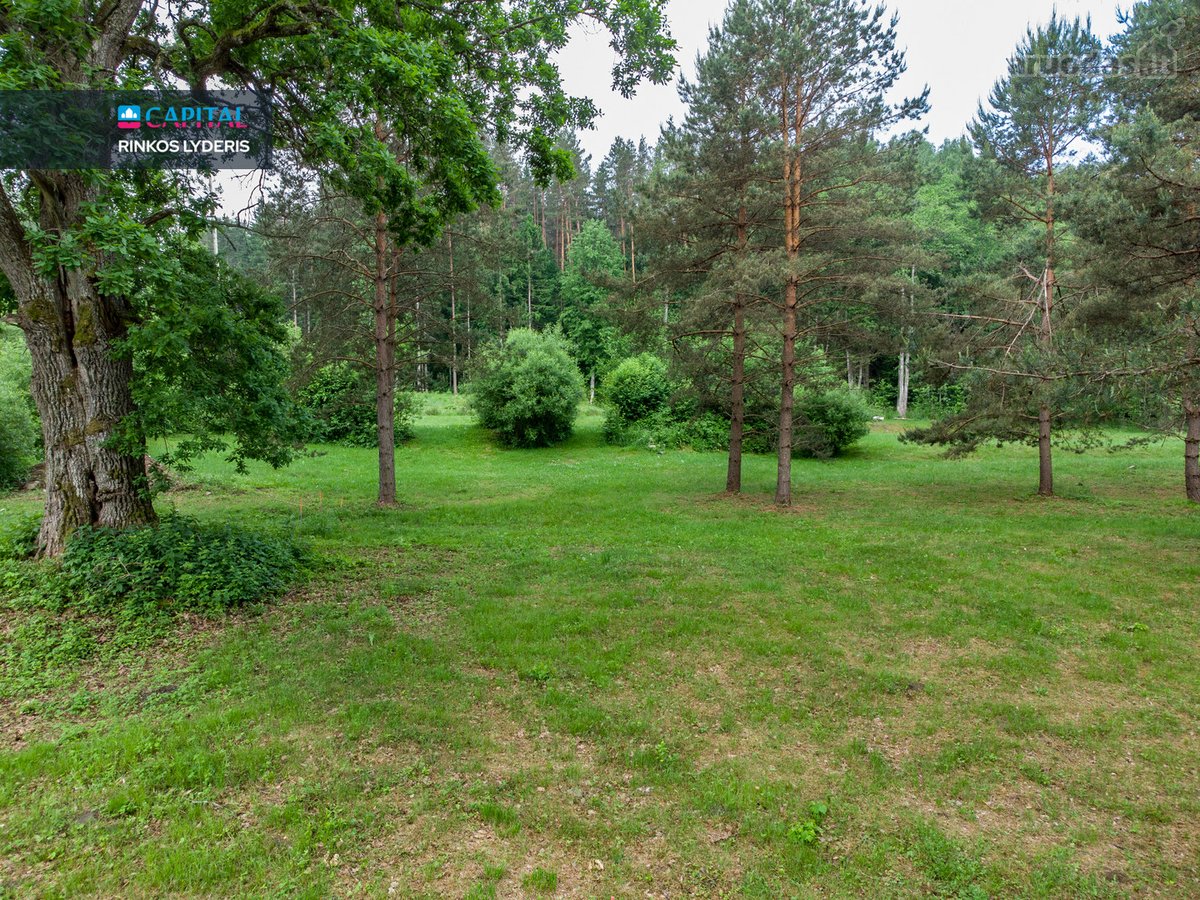 Nemenčinės miškų pušynų pašonėje, vos 3 - nuotraukos Nr. 9