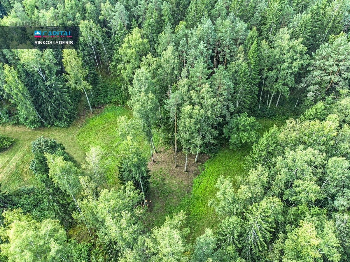Sengirės Ir Ąžuolų Apsuptyje Prie Neries – - nuotraukos Nr. 2