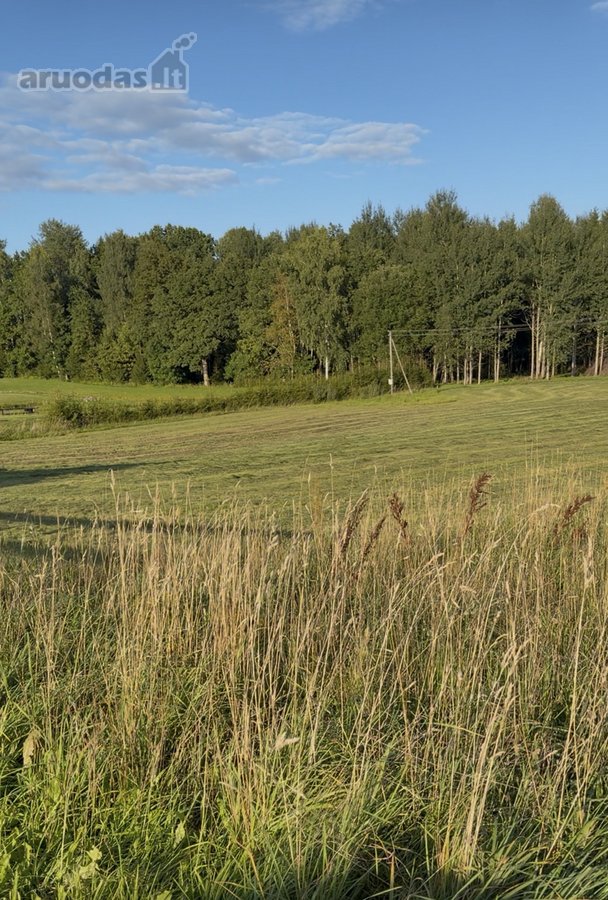 Plungės rajone, Prūsalių kaime, labai ramioje - nuotraukos Nr. 4