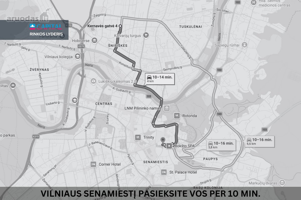 Viename Sėkmingiausių Šnipiškių Projektų - nuotraukos Nr. 35