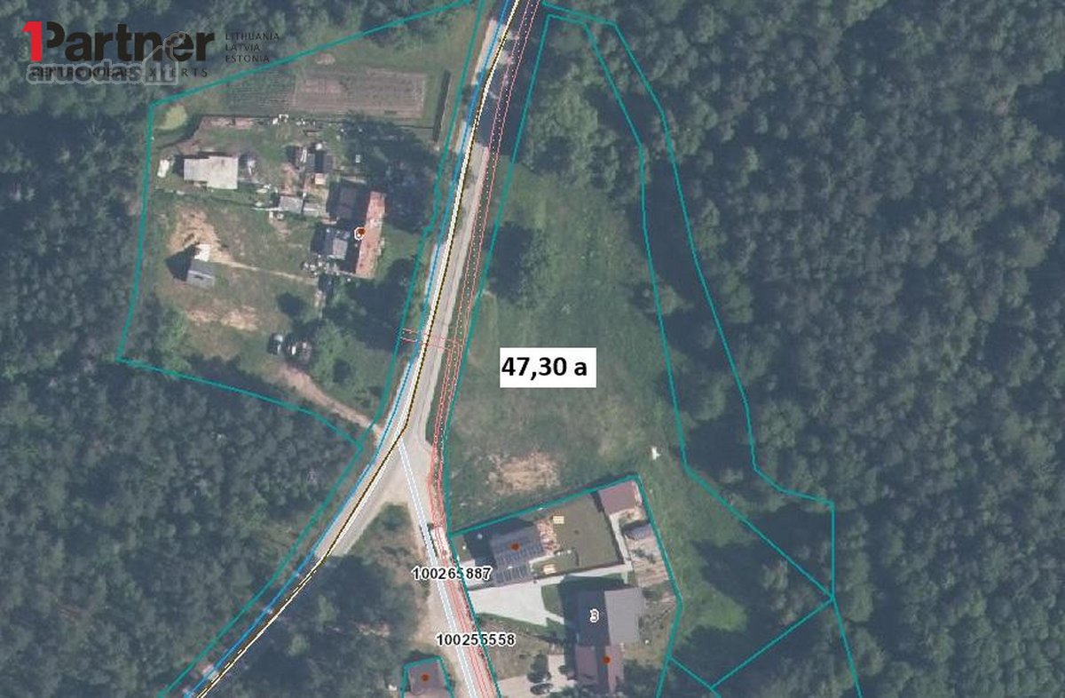 Vaizdingoje vietoje, miškų apsuptyje, - nuotraukos Nr. 4