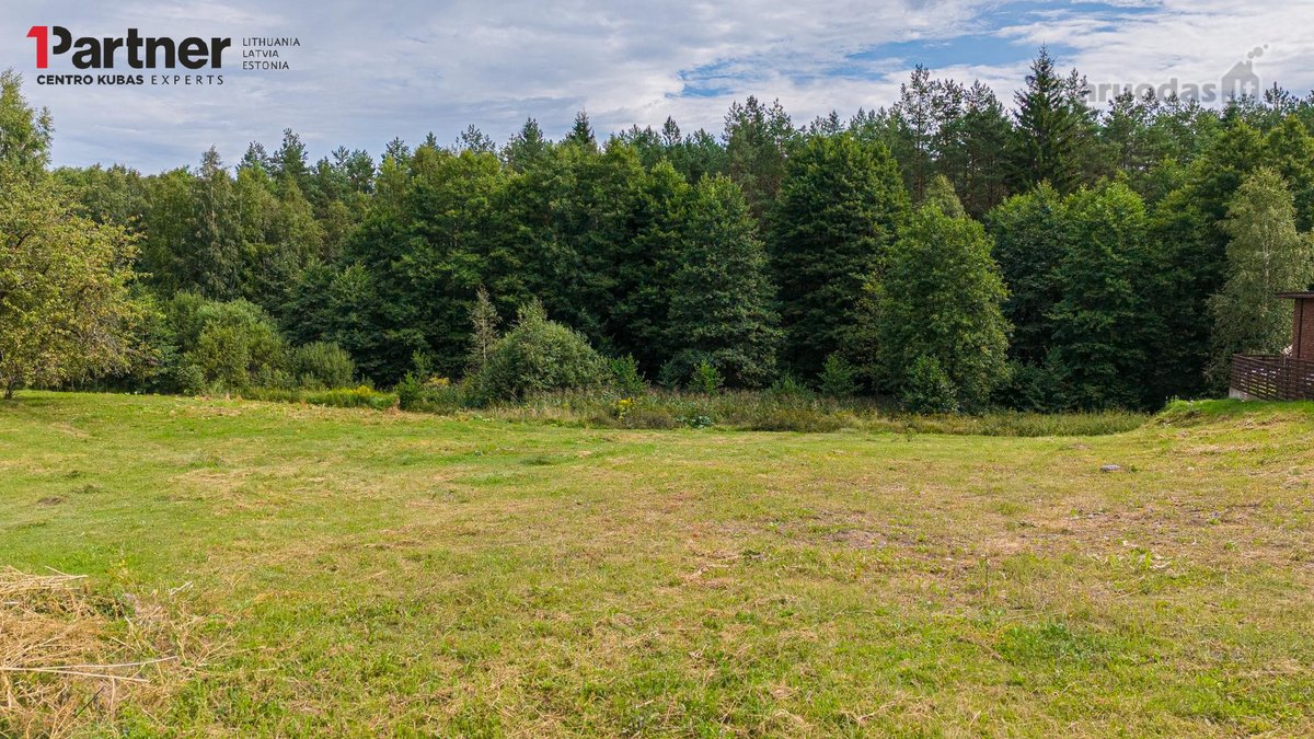 Vaizdingoje vietoje, miškų apsuptyje, - nuotraukos Nr. 10