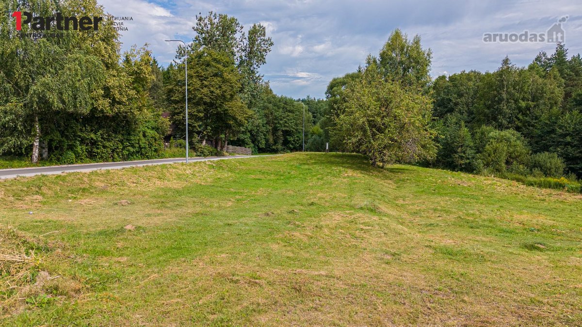 Vaizdingoje vietoje, miškų apsuptyje, - nuotraukos Nr. 11