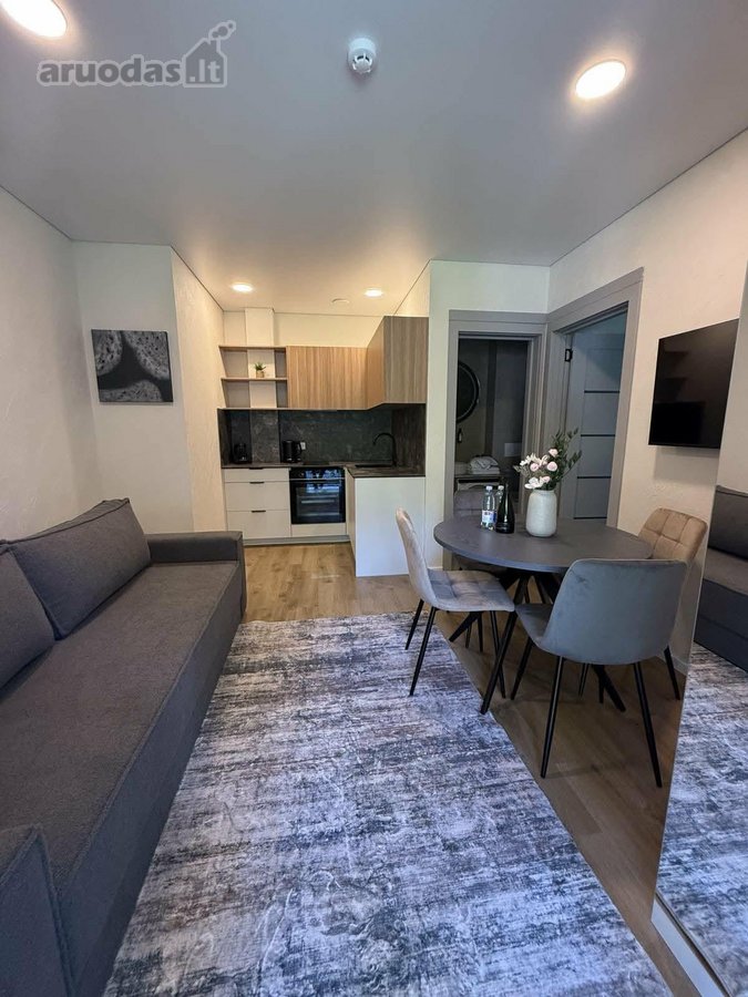 Pačiame miesto centre Basanavičiaus GT - nuotraukos Nr. 4