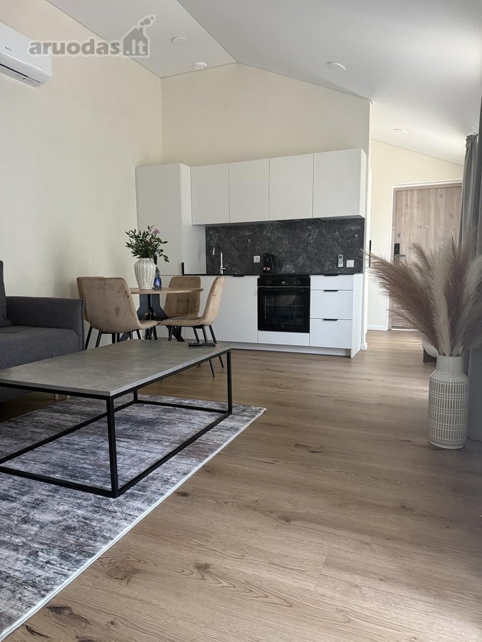Pačiame miesto centre Basanavičiaus GT - nuotraukos Nr. 16