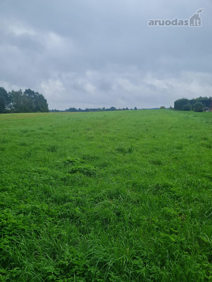 Parduodamas 44,11 a žemės sklypas Bartkuškio - nuotraukos Nr. 4