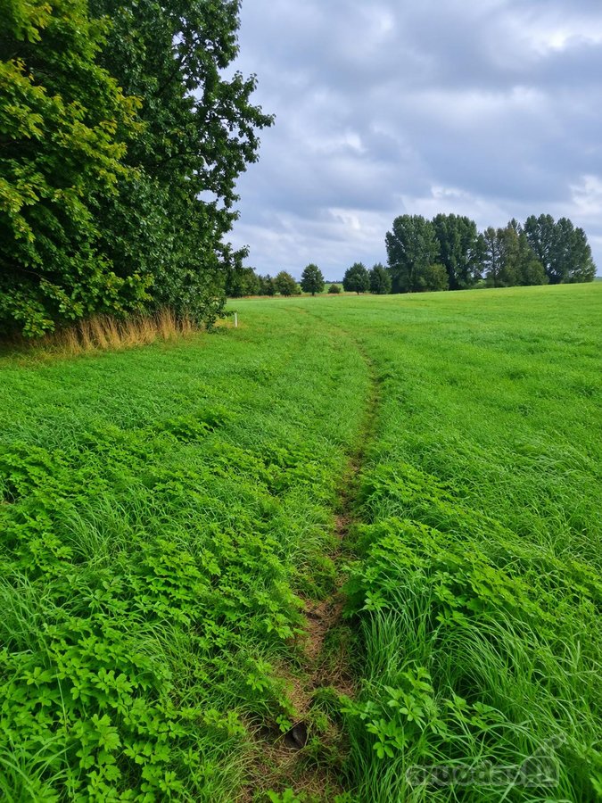 Parduodamas 44,11 a žemės sklypas Bartkuškio - nuotraukos Nr. 5