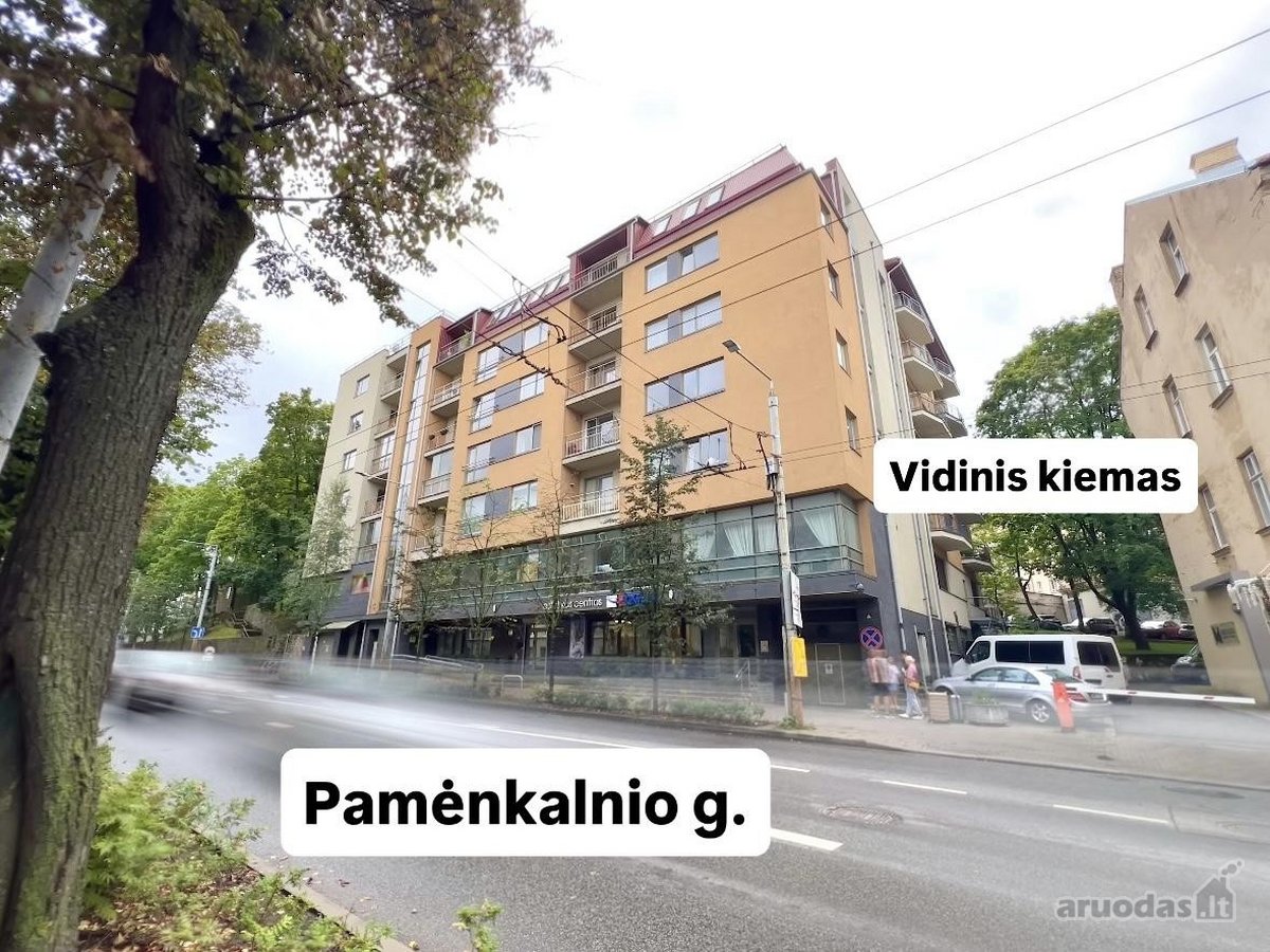 Išskirtinis Butas Viršutiniame Aukšte Su - nuotraukos Nr. 12