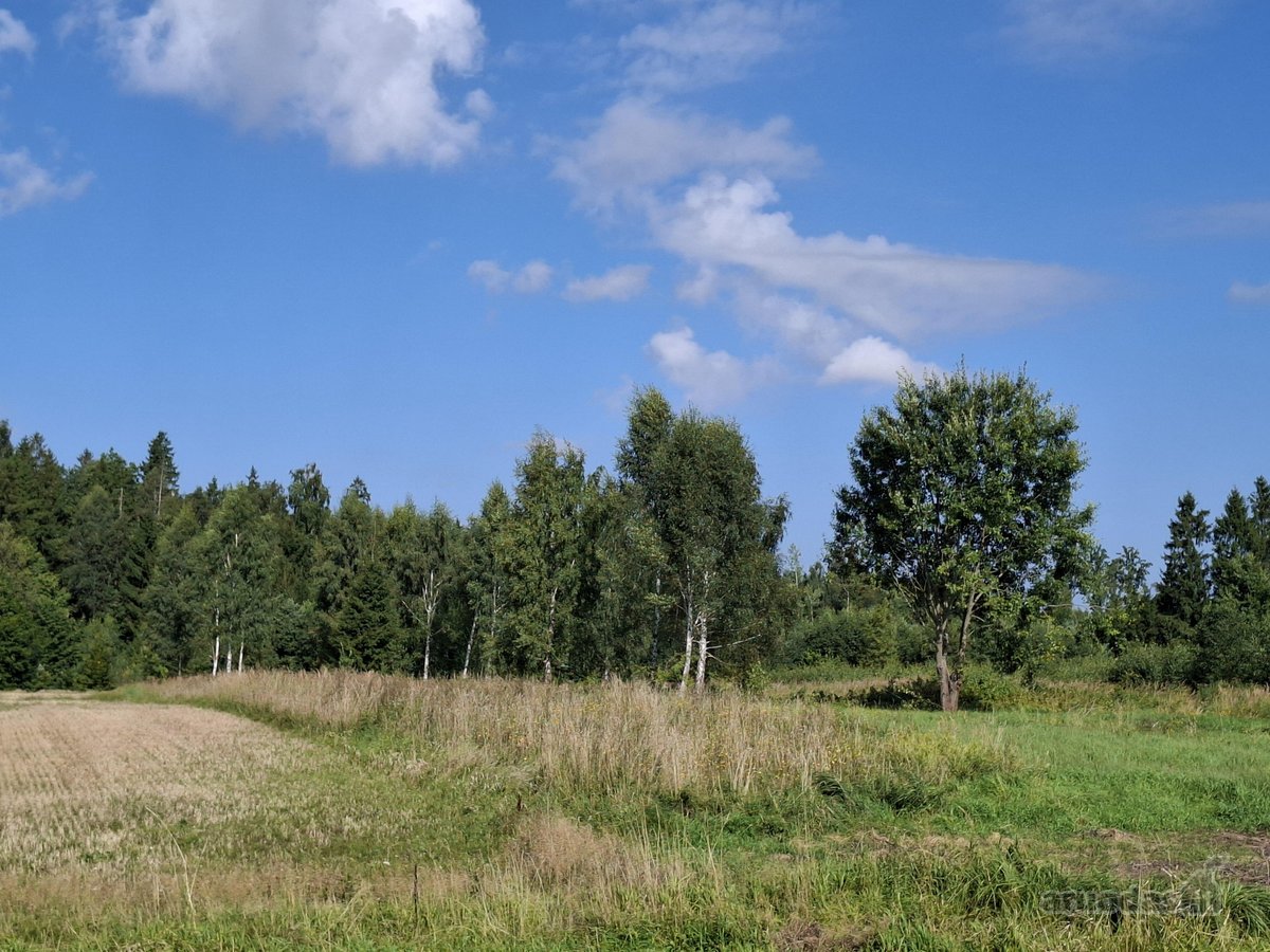 Parduodu 65a zemes sklypa salia Gargzdu. - nuotraukos Nr. 2