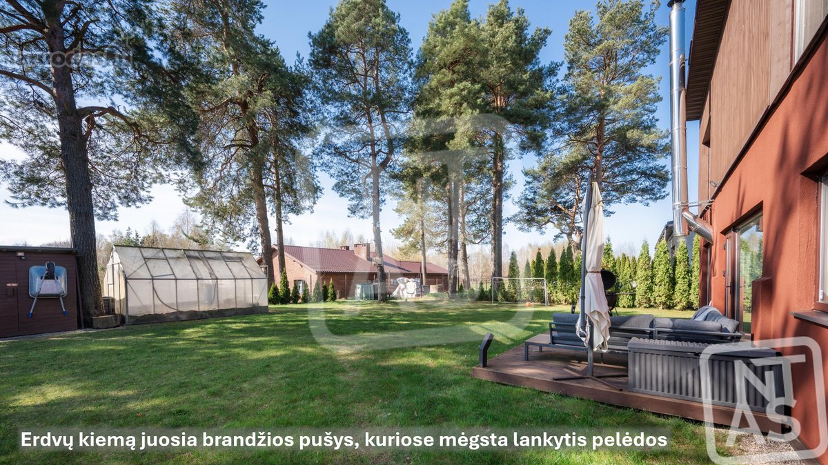 Namas Brandžių Pušų Paunksnėje - nuotraukos Nr. 5