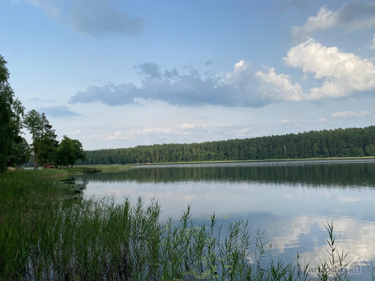 Sklypų Informacija : - nuotraukos Nr. 11