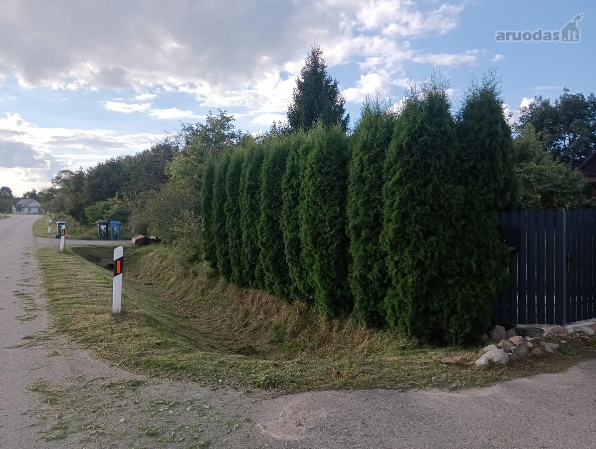 Parduodama Sodyba Varėnos R. – 38 Arai, 3 - nuotraukos Nr. 18