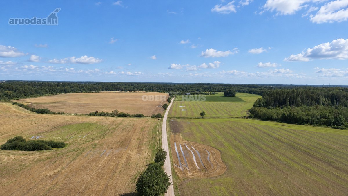 Šakinių K., Klaipėdos R. Parduodami 3 Namų - nuotraukos Nr. 5