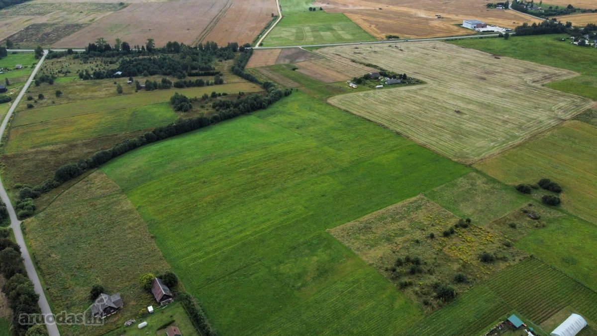 Parduodamas taisyklingos formos 63 arų žemės - nuotraukos Nr. 11