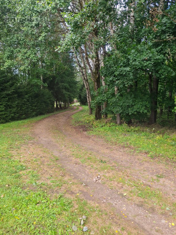 Parduodamas 44,11 a žemės sklypas Bartkuškio - nuotraukos Nr. 9