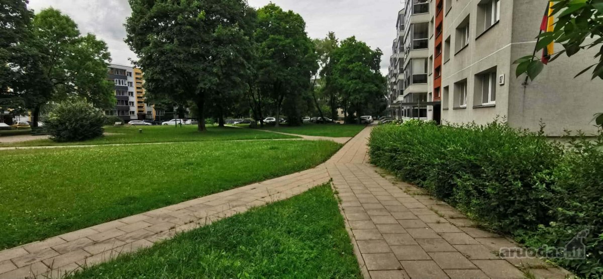 Patogi ir patraukli vieta šalia Neries - nuotraukos Nr. 15