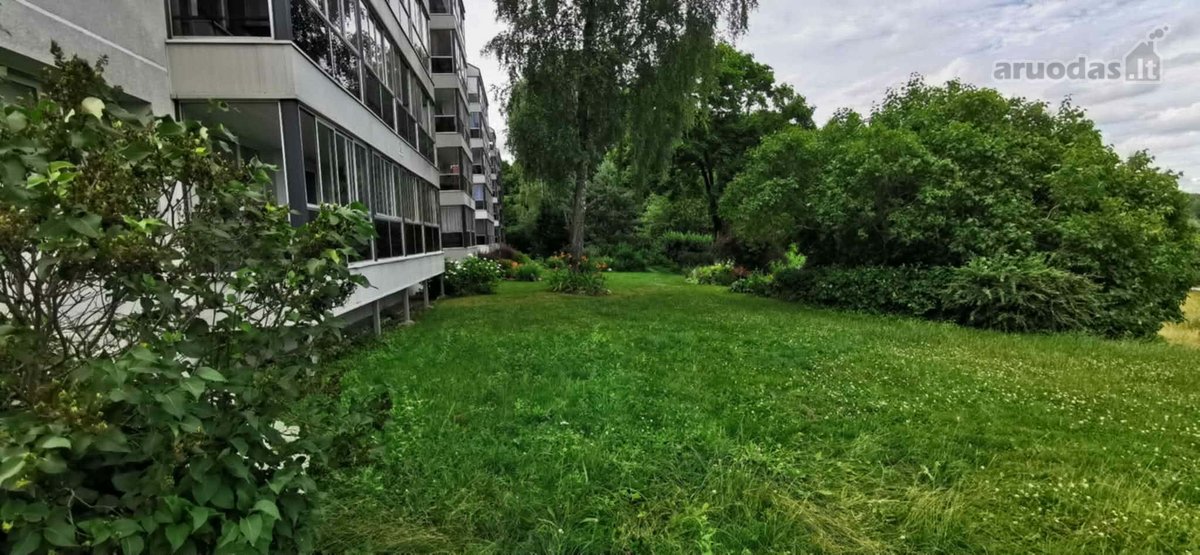 Patogi ir patraukli vieta šalia Neries - nuotraukos Nr. 9
