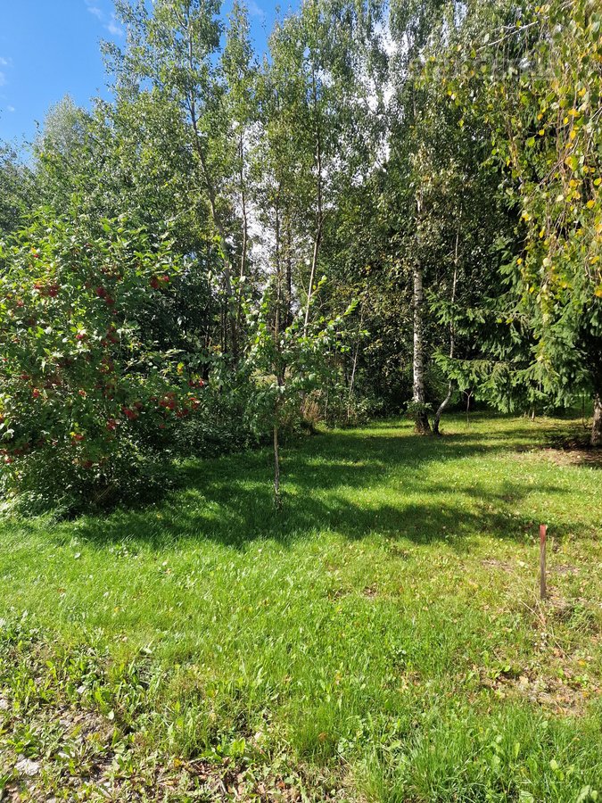 Geras ir patogus asfaltuotas privažiavimas ir - nuotraukos Nr. 5