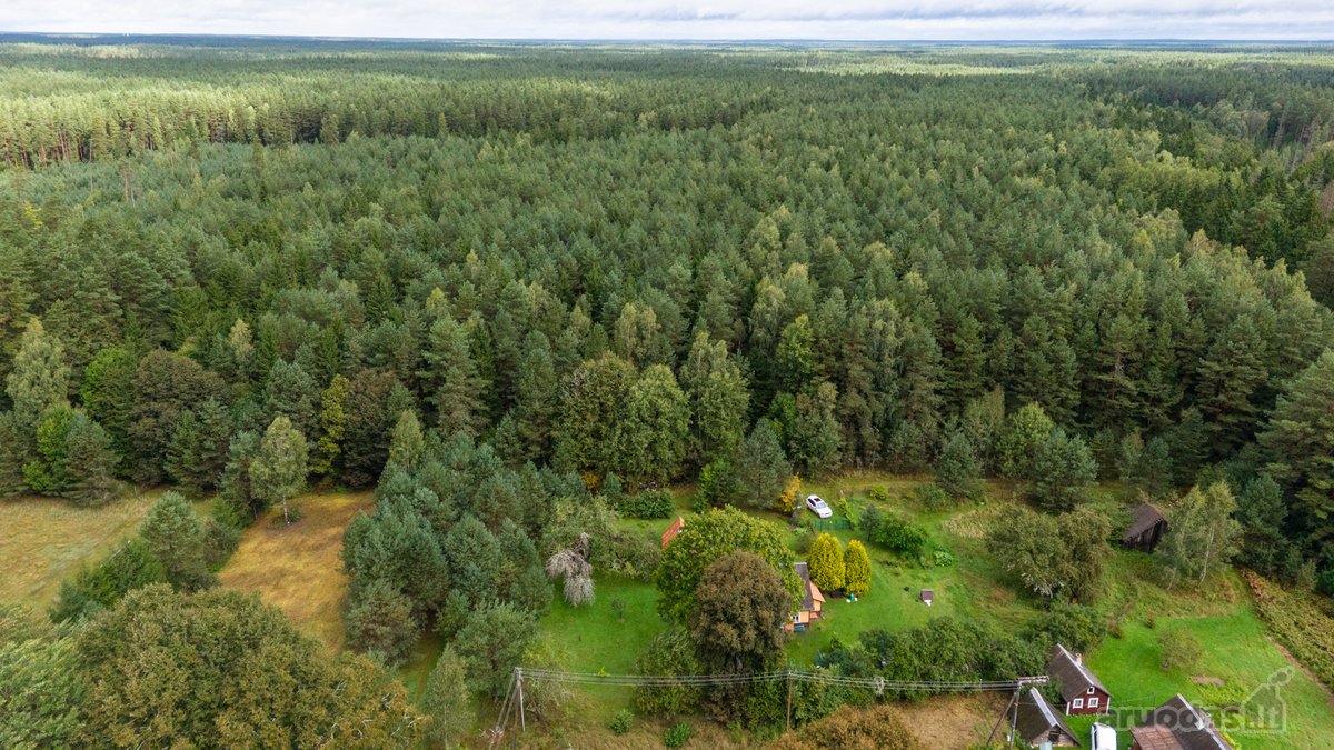 Sodyba Su Pirtimi Ir 44,45 Aro Sklypu Šalia - nuotraukos Nr. 4