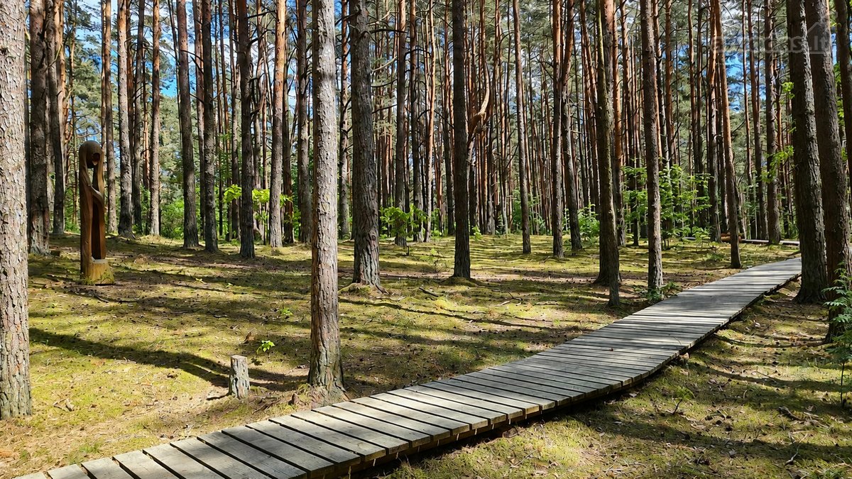 Parduodama Renovuota Namo Dalis Radikiuose - nuotraukos Nr. 26