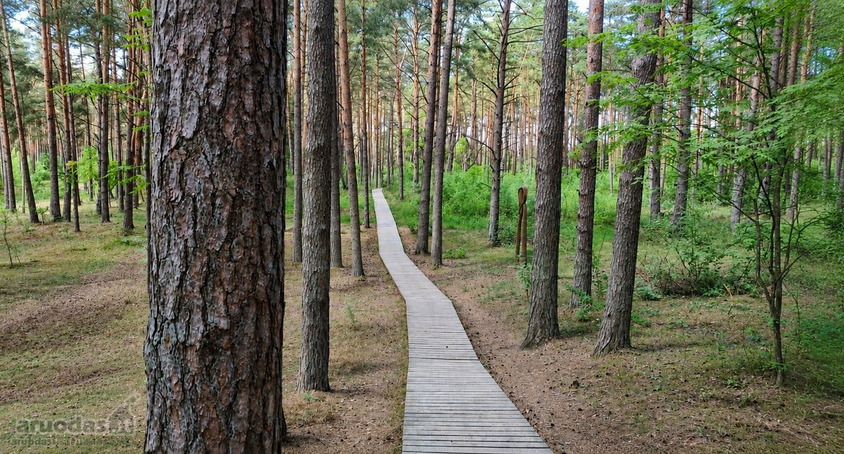 Parduodama Renovuota Namo Dalis Radikiuose - nuotraukos Nr. 27
