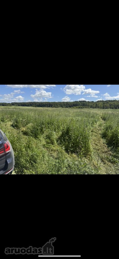 Sklypas Gykių kaime puse sklypo dirbama žemė - nuotraukos Nr. 2