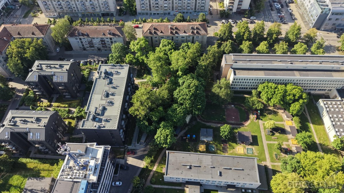Rytais saulė pirmiausia pasiekia miegamąjį, - nuotraukos Nr. 28