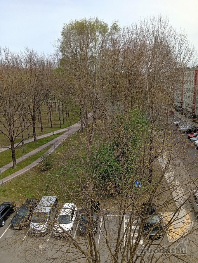 Nuo spalio mėn. nuomojamas butas renovuotame - nuotraukos Nr. 14