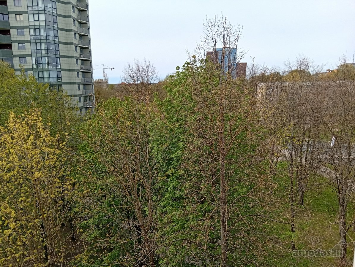 Nuo spalio mėn. nuomojamas butas renovuotame - nuotraukos Nr. 13