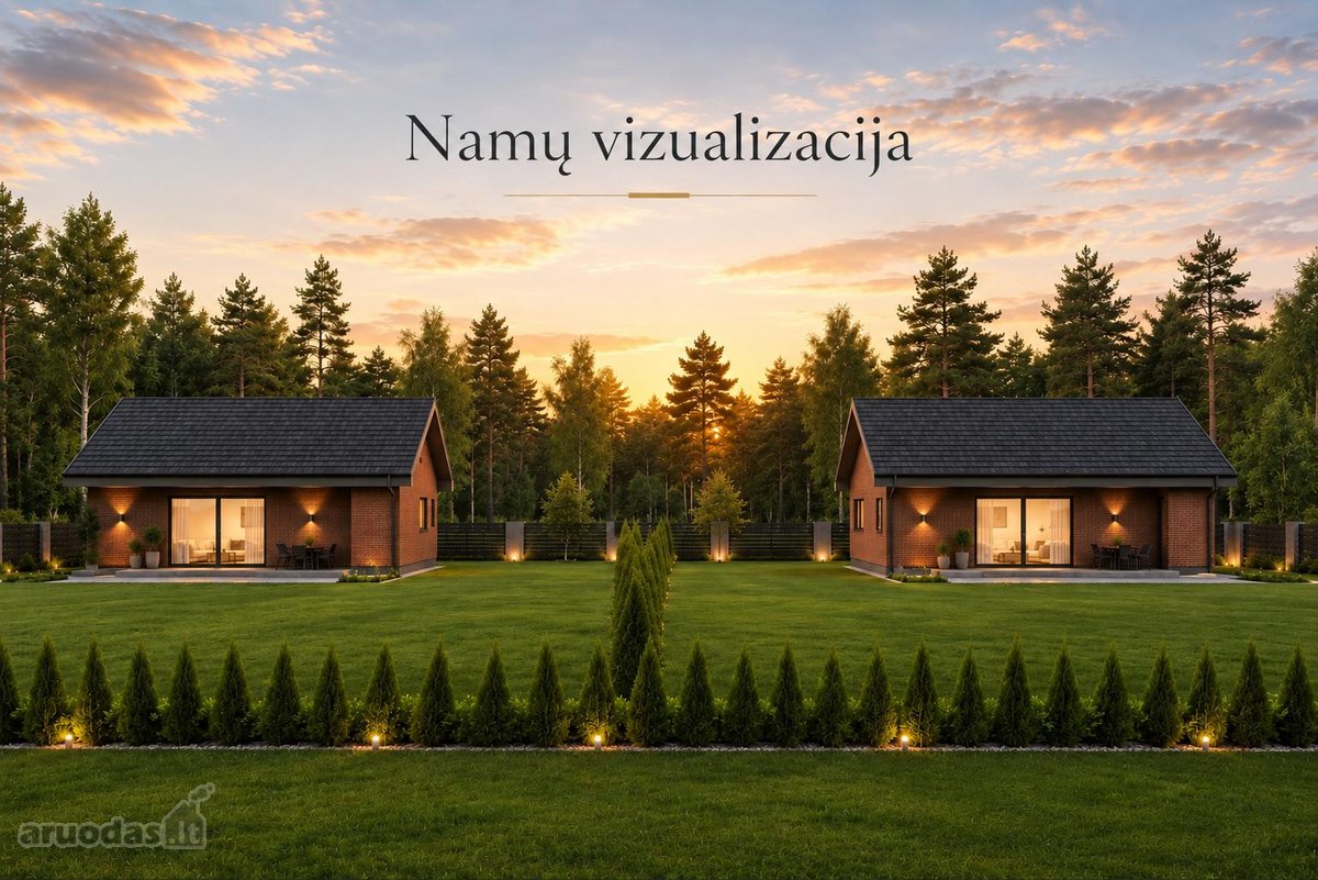 Miško apsuptyje, naujai besiformuojančiame - nuotraukos Nr. 3