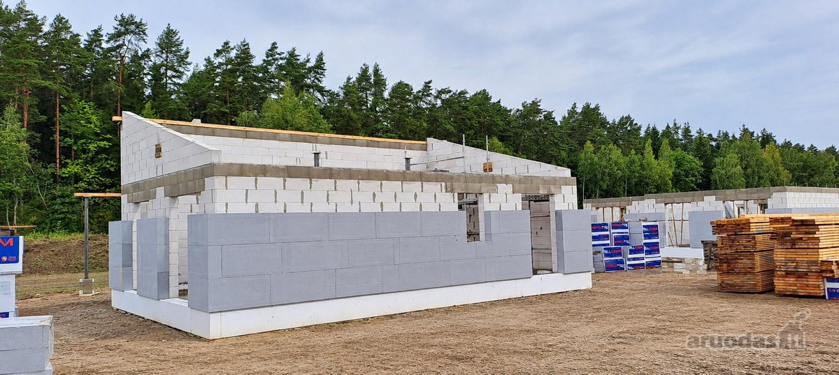 Miško apsuptyje, naujai besiformuojančiame - nuotraukos Nr. 6