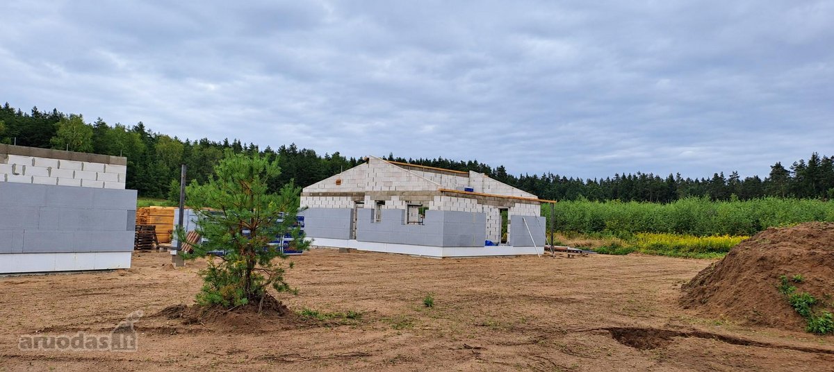 Miško apsuptyje, naujai besiformuojančiame - nuotraukos Nr. 9