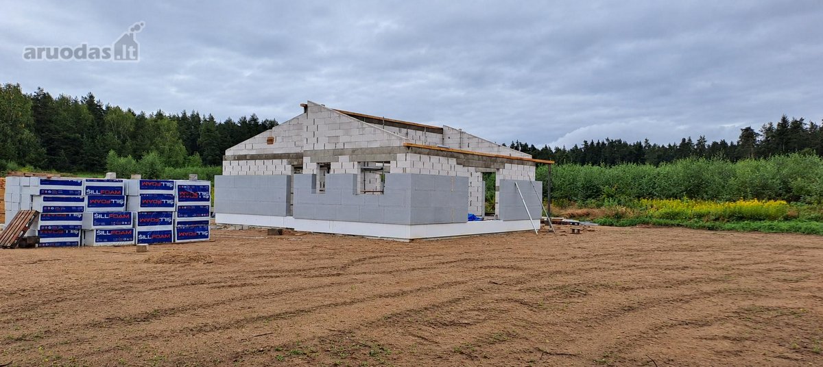 Miško apsuptyje, naujai besiformuojančiame - nuotraukos Nr. 10